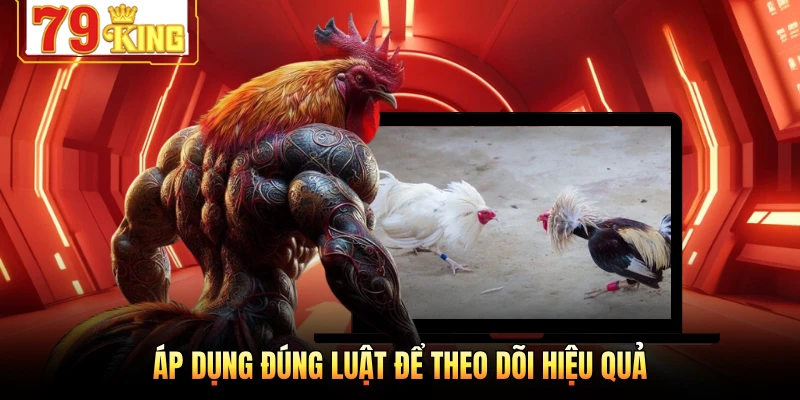 Áp dụng đúng luật để theo dõi hiệu quả