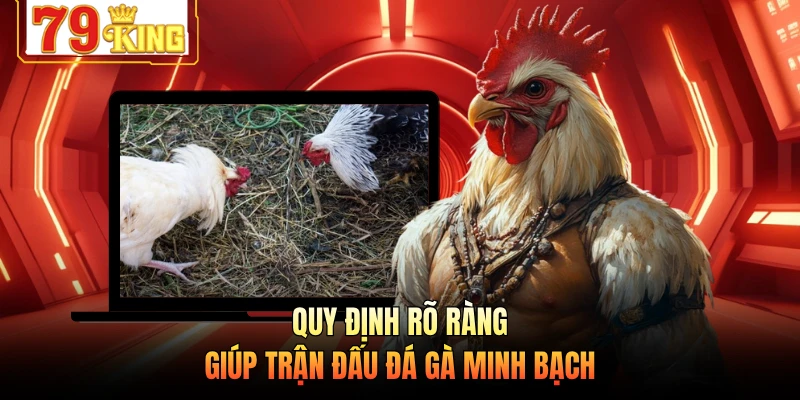 Quy định rõ ràng giúp trận đấu đá gà minh bạch